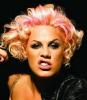 pink-admits-bisexulity1