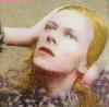 Hunky Dory