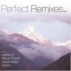 Perfect Remixes Vol.3
