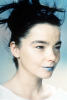 Bjork-ps01