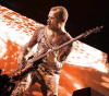 flea01