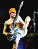 flea2